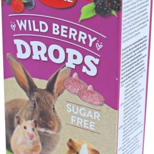 Sanal wild berry drops, 45 gram sugar free