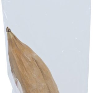 JR Farm knaagdier kapoknoot a 1 stuk. 06284