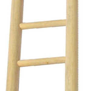 Vogelspeelgoed ladder hout 5 traps, 22 cm.