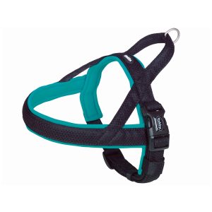 NB MESH PRENO TUIG TURQ