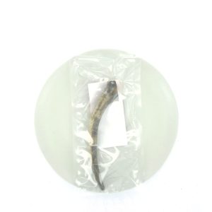 Hertengewei Hondensnack