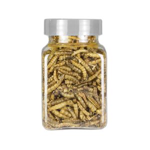 Meelwormen (vriesdroog)