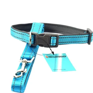 Honden Halsband met uitlaatriem -Blauw - Hondentuig met reflector - Wandelen - Uitlaten - voor smal honden - Uitlaatriem 100 cm - Halsband 25 - 40 cm