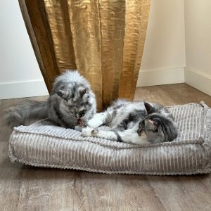 Cat Essentials Dierenbed Ribstof in 5 kleuren