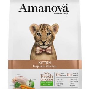 Amanova Kitten Exquisite Chicken
