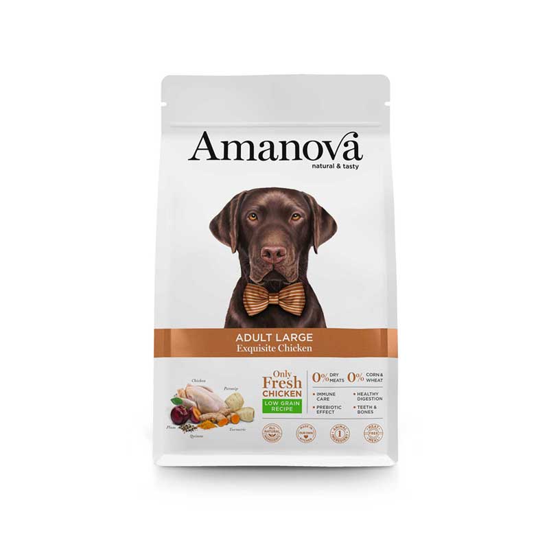 Amanova Adult Large Exquisite Chicken - Afbeelding 2