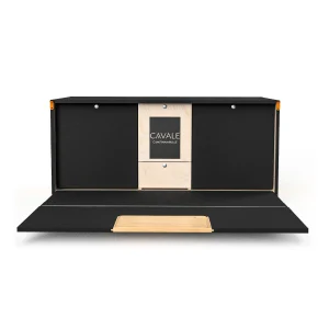 Malle de voyage - Cavale