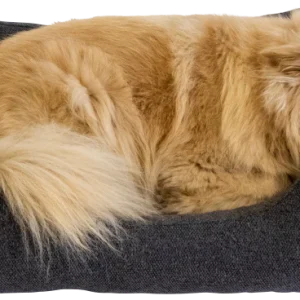 Jack and Vanilla - Hampton Dogbed (orthopedisch, wasbaar, nano)