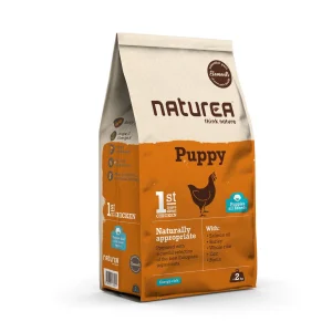 Elements Puppy - Kip