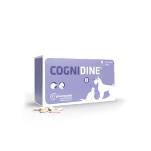cogniDINE