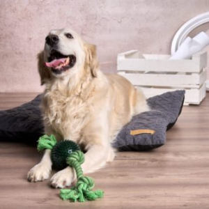 ECO Line Bijtspeeltje 11x50cm