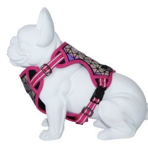 Freedog – Boreal Harnas Fuchsia