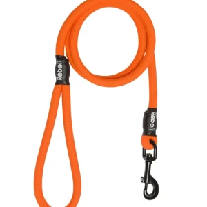 Rebel Petz Basic Leash Oranje