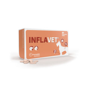 inflaVET