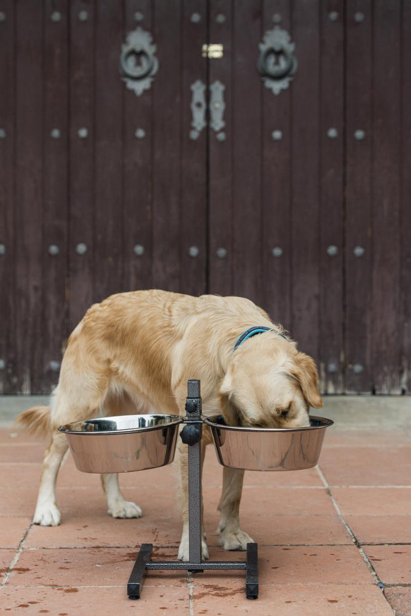 Verstelbare dubbele steun met 2 kommen 2x 1.75l - Afbeelding 3